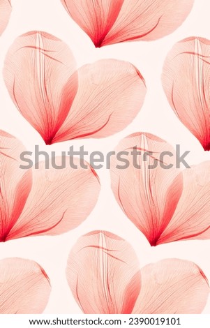Abstract nature pattern of heart from petals pink color, natural texture leaf as natural background or backdrop. Macro texture, aesthetic photo, romance love concept, trend botanical design flat lay