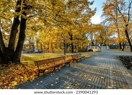 Golden autumn patterns, walkways and place for resting with garden benches in central public park of Riga - the capital of Latvia, Baltic region, Eastern Europe Royalty-Free Stock Photo #2390041293