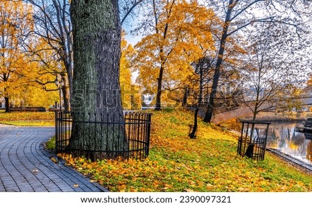 Golden autumn patterns and walkways in central public park of Riga - the capital of Latvia, Baltic region, Eastern Europe