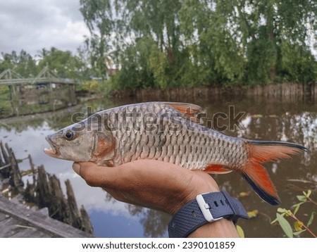 a hollow fish caught while fishing in the river