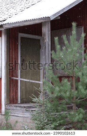 Abandoned old red house in the Finnish countryside. Trees grown in front of the fort porch. Snowy weather, snow on the roof. Moldy walls. Abandoned houses in the nordics, calm and sad atmosphere.