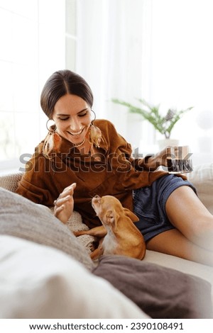 Smiling and stylish woman holding cup of coffee and playing with Chihuahua dog on couch in living room	