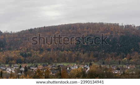 A settlement surrounded by forest in autumnal colours