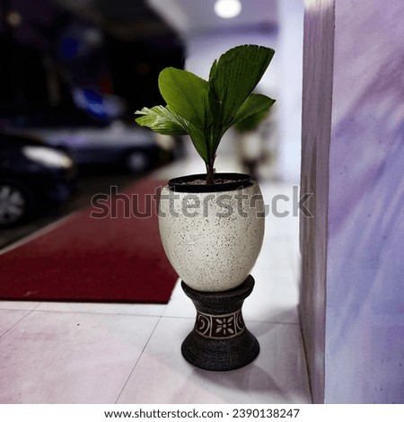 Greenplant outdoor in beautiful vas Royalty-Free Stock Photo #2390138247