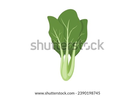 Bok Choy isolated on white background, Asian green fresh leafy vegetables. Healthy natural vegetarian food. mustard greens flat vector illustration. Royalty-Free Stock Photo #2390198745