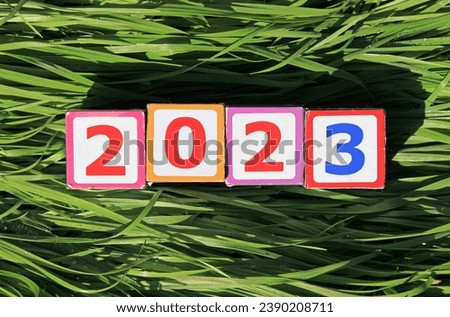 Inscription 2023. Toy square cubes and numbers on green surface of wavy grass, that means coming New Year Eve. Christmas, holidays, celebration concept. New Year of 2023, year of black water rabbit