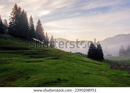 countryside landscape of romania in morning mist. coniferous trees on the steep grassy slopes beneath a bright sky with clouds. apuseni natural park Royalty-Free Stock Photo #2390208951