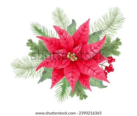 Christmas bouquet with poinsettia flower, holly berries, leaves, pine, spruce. Composition for the winter holidays New Year, Christmas. Clip art for cards, design.Handmade isolated watercolor art.