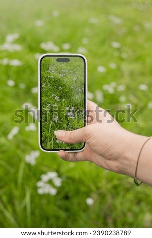 take pictures of a green meadow on a mobile phone