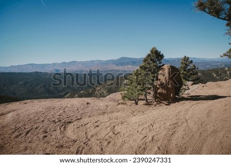Wide View of Pike National Forest mountains and pine trees near Sedalia Colorado Royalty-Free Stock Photo #2390247331