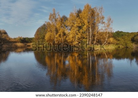 Autumn pond, reflection of trees in the water in autumn colors. Gdansk, Poland