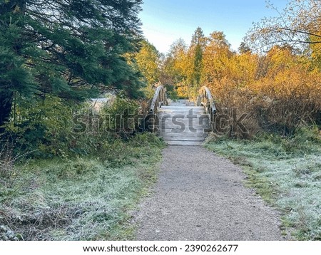 Vancouver, BC - October 29, 2023: A frost covered footbridge along seawall pathway during the fall season in downtown Vancouver
