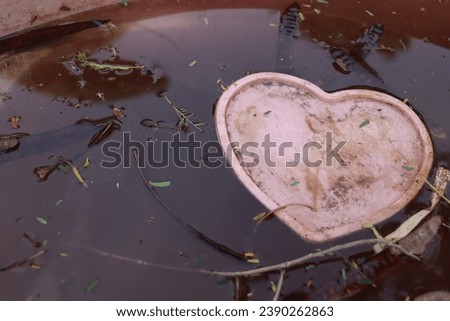 pink heart in murky water