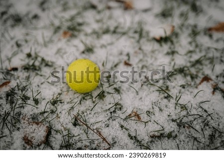 Yellow golf ball in a golf snow game