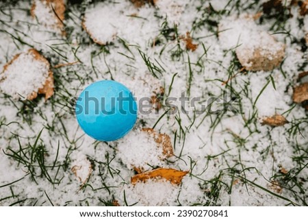Blue golf ball in a golf snow game