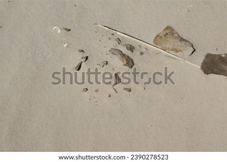Baltic Sea sand fragment. Natural background.