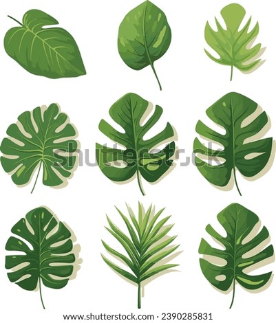 A collection of tropical leaves on a white background