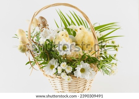 Easter with these vibrant and heartwarming stock photos. From festive decorations to Easter egg hunts, capture the essence of joy and renewal in every image.