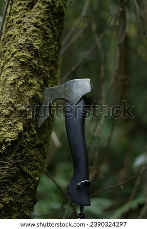 Natural hatchet bushcraft. 
Taken by Sony fix lens 50mm