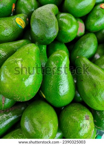 fresh avocados of various sizes and types