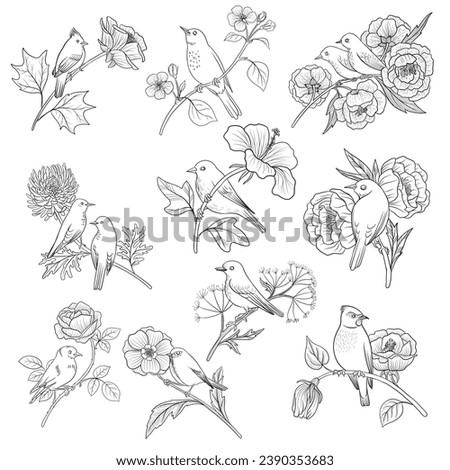 vector drawing birds at tree branch with flowers and leaves, hand drawn illustration for cover design or print
