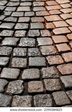 Cobblestone paving on old road background texture. High-quality photo