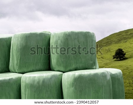 Hay bales wrapped in green film. Close up view.