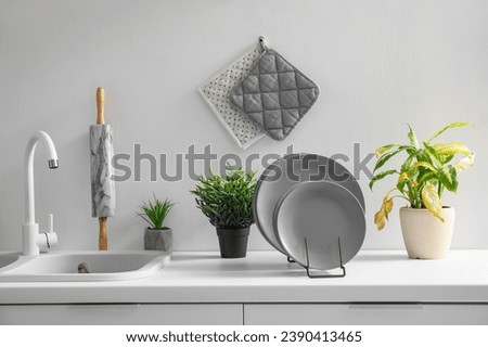 Plate rack and houseplants on white kitchen counter Royalty-Free Stock Photo #2390413465