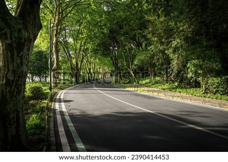 Summer Country Road With Trees Beside Concept Royalty-Free Stock Photo #2390414453