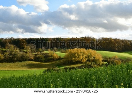 Green meadows fields with autumn forest odenwald Germany. High quality photo
