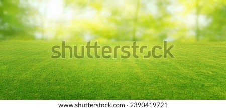 Beautiful summer natural landscape with lawn with cut fresh grass in early morning with light fog. Panoramic spring background. Royalty-Free Stock Photo #2390419721