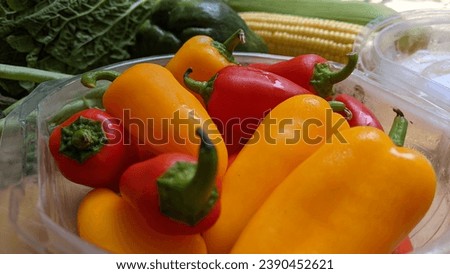 Close up picture of fresh baby capsicum with blurred background.