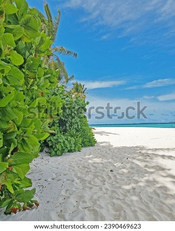 maldive island sandy beach view