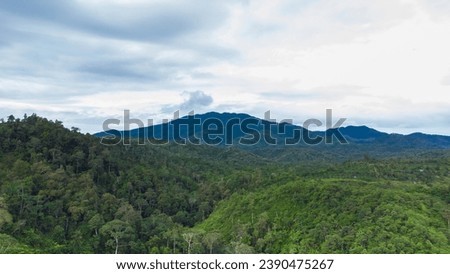 An aerial photo of a hill with green and shady trees, in the province of Aceh, Indonesia.