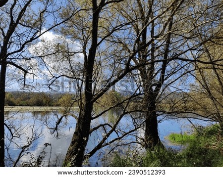 Posta Fibreno lake park swap trees clouds sky blue 