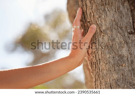 female hand gently touches bark of old olive tree. embracing fresh air and engaging in outdoor activities. Friluftsliv concept means spending as much time outdoors as possible