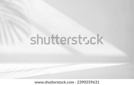 Shadow leaves light overlay on concrete Interior wall Background and reflection floor perspective well display product and text presentation on free space Pattern Backdrop  Royalty-Free Stock Photo #2390559631