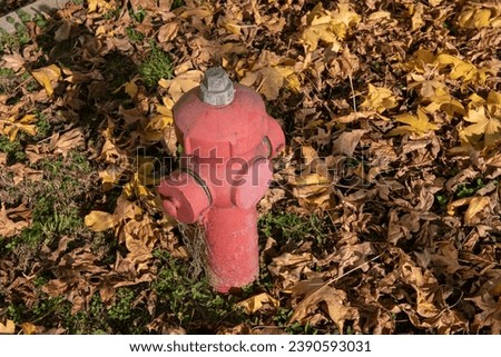 fire hydrant, safety in designing the points in which to place the hose attachments for the firefighters. fire control and maintenance.