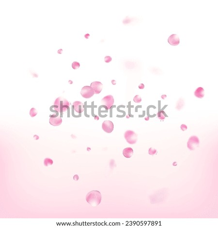 Rose Petals Flying Confetti. Blooming Cosmetics Ad Beautiful Floral Background. Falling Japanese Sakura Cherry Rose Petals Frame. Female Premium Magic Pattern. Windy Leaves Confetti Design.