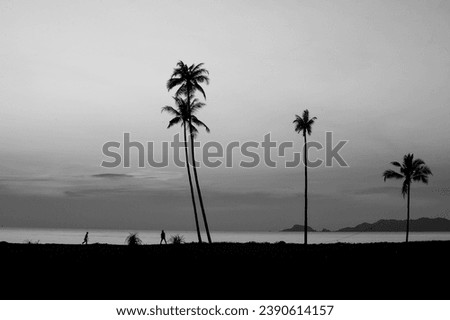 Beautiful nature landscape of Marang during sunrise , located in Terengganu, Malaysia, beach ,coconut tree , kids and fishing village in black and white.
