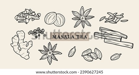 Line art masala tea spices illustration Royalty-Free Stock Photo #2390627245
