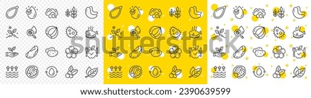 Outline Cold-pressed oil, Natural linen and Hazelnut line icons pack for web with Cashew nut, Brazil nut, Vegetarian food line icon. Water drop, Fish dish, Christmas holly pictogram icon. Vector