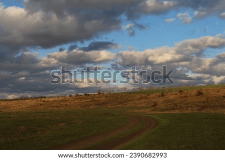 A field with a cloudy sky