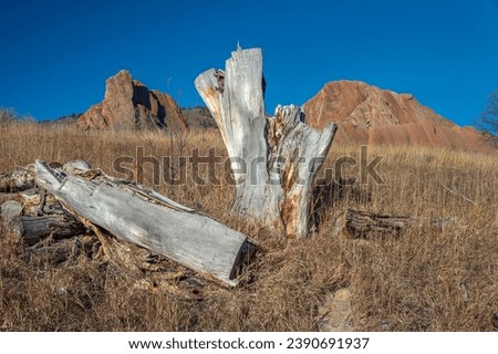 "View of Snags and Red Sandstone Formations" Royalty-Free Stock Photo #2390691937