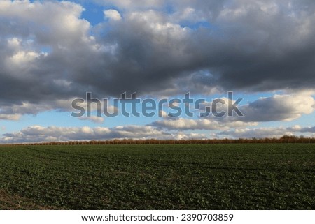 A field of grass and cloudy sky Royalty-Free Stock Photo #2390703859