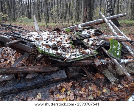 Remains of a structure from a wooden house in the forest. The ruins of the former forester's house remained in the middle of the forest and were hidden under the fallen autumn leaves. Royalty-Free Stock Photo #2390707541