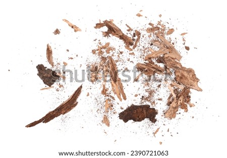 Rotten, old pieces of wood scattered, isolated on white, top view Royalty-Free Stock Photo #2390721063