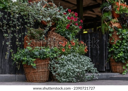 Baskets with green plants and flowers decorate entrance to outdoor cafe.Selective focus. 