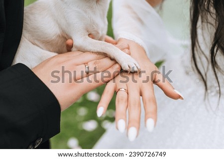 The bride and groom hold hands showing gold rings on their fingers along with the paw of a white Chihuahua dog at the ceremony. A happy family. MyRealHoliday. Wedding photography close up.