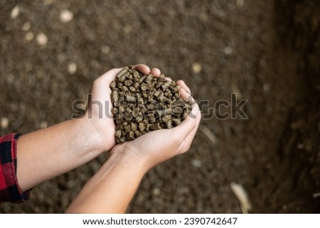 Female farmer hands folded in shape of heart holding handful of calf pellets, high quality organic granulated feed containing cereals, soybean meal and cottonseed meal. Cropped shot.. Royalty-Free Stock Photo #2390742647